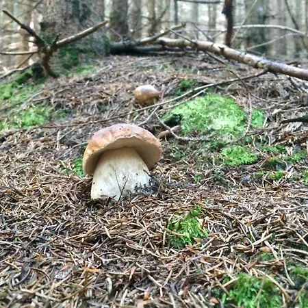 Restaurant Hubinger Hotel Thorl