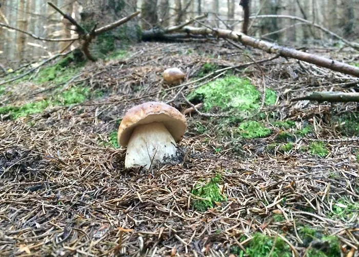 Restaurant Hubinger Hotel Thörl